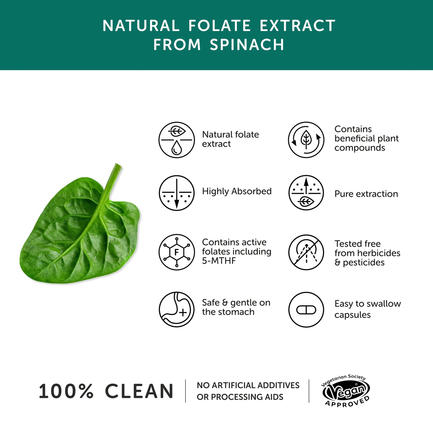 Together Health Folate 400 mcg from Spinach - 30 Capsules