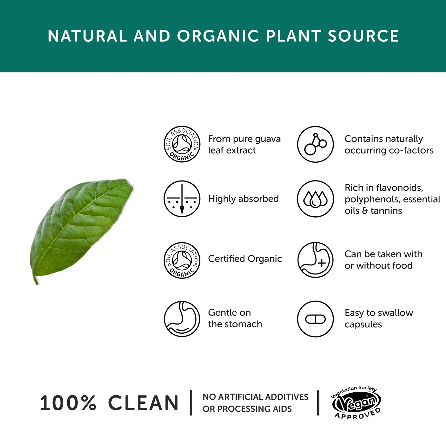 Together Health Organic Zinc from Guava Leaf - 15 mg - 30 Vegan Capsules