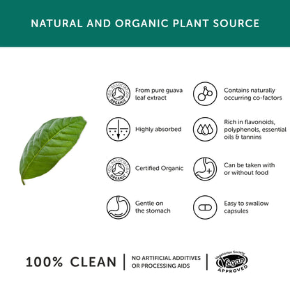 Together Health Organic Zinc from Guava Leaf - 15 mg - 30 Vegan Capsules