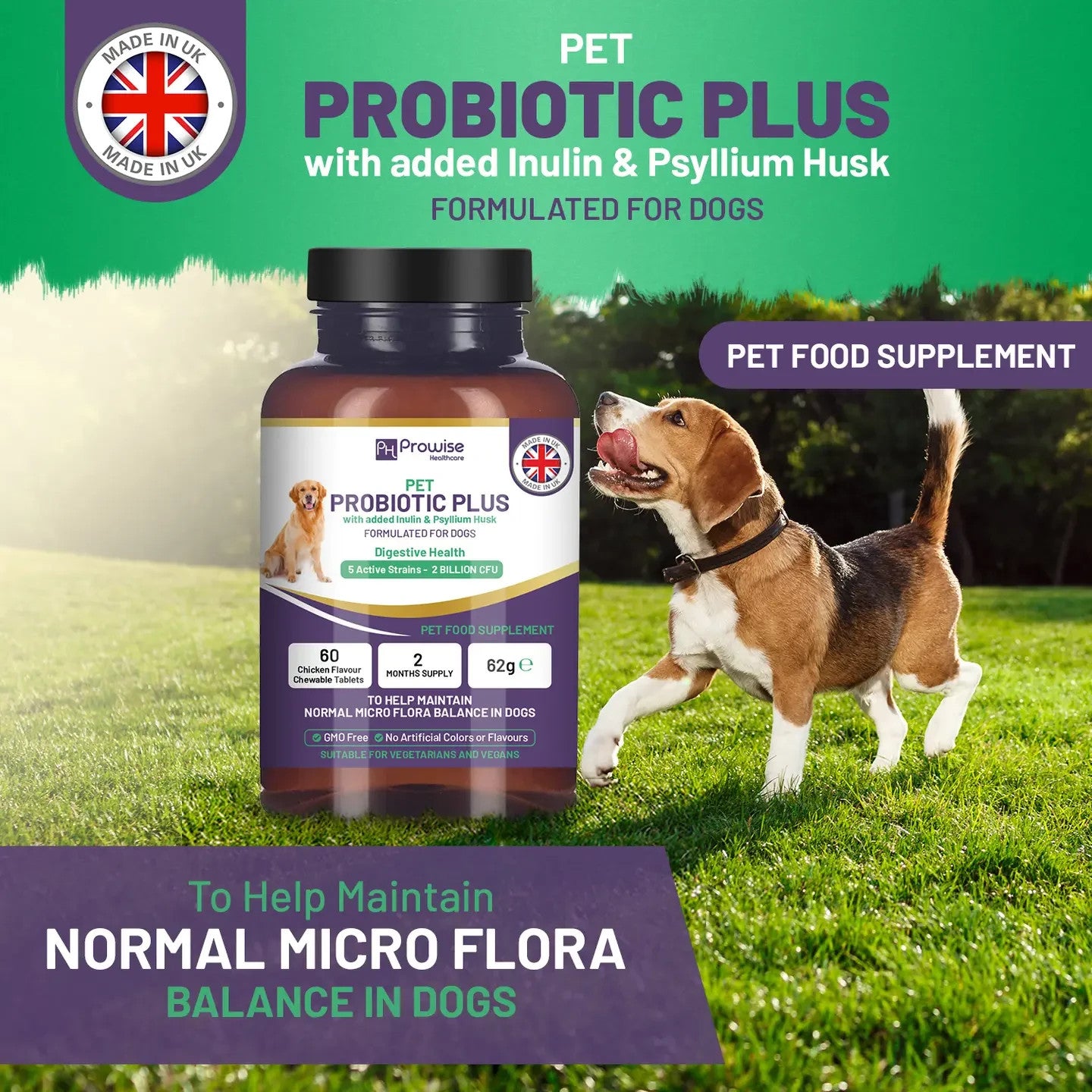 Pet Probiotic Plus with Added Inulin & Psyllium Husk 2 Billi