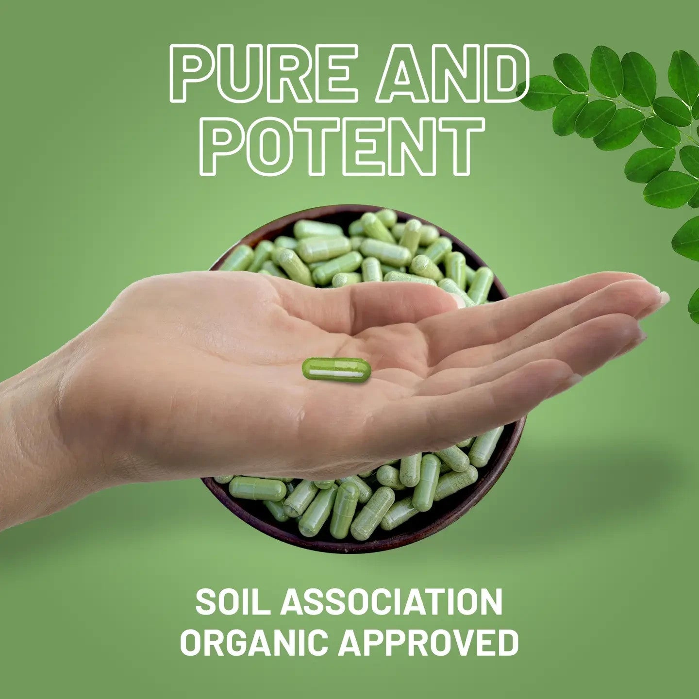 Organic Moringa Capsules 2000mg - 120 Vegan Moringa Leaves Capsules